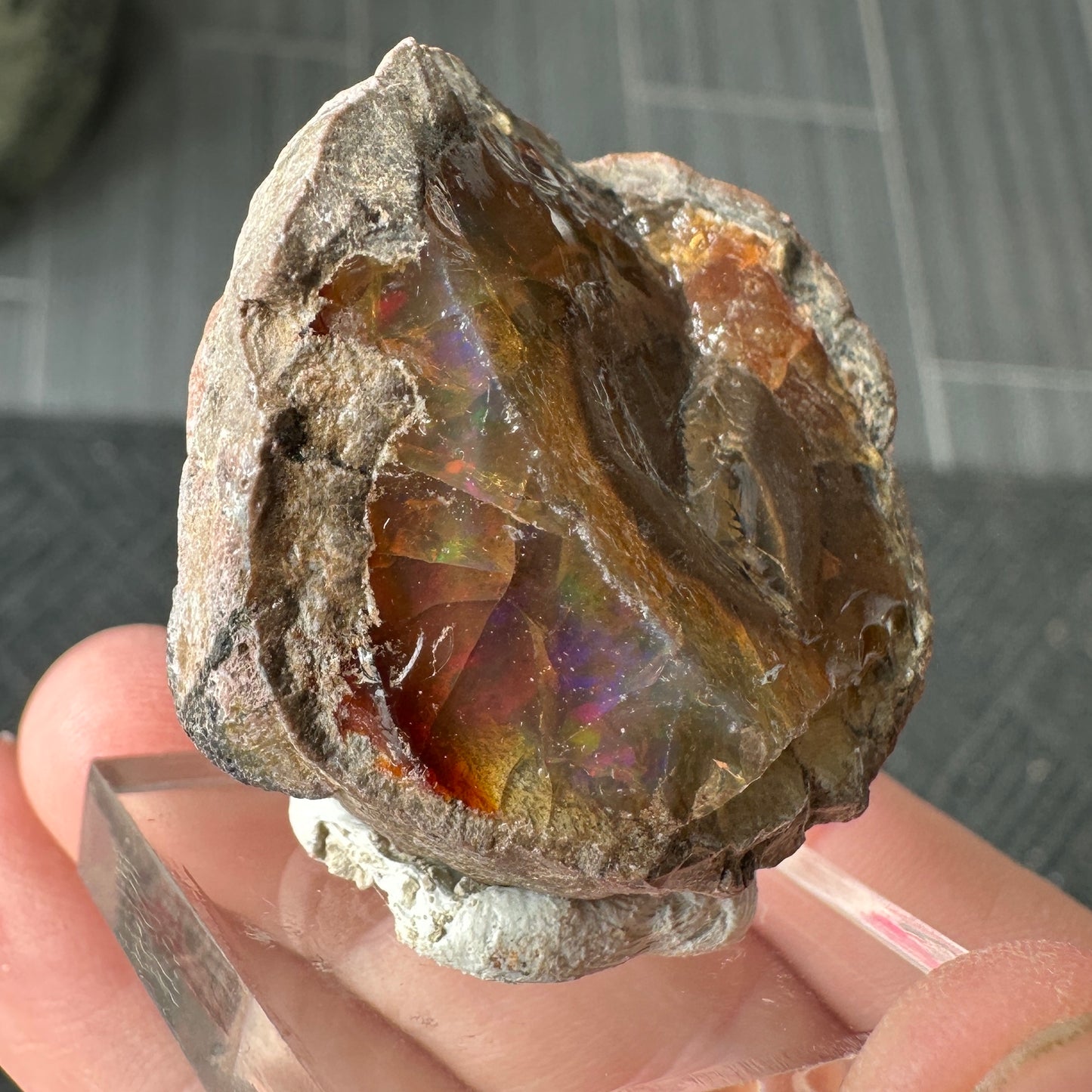 Chocolate Fire Opal Miniature from Ethiopia