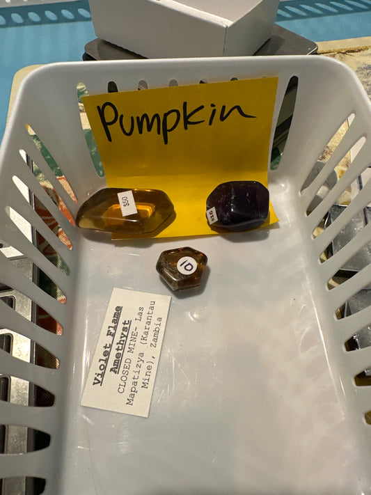 EM 03/13/26 TikTok Live Show Order Pumpkin