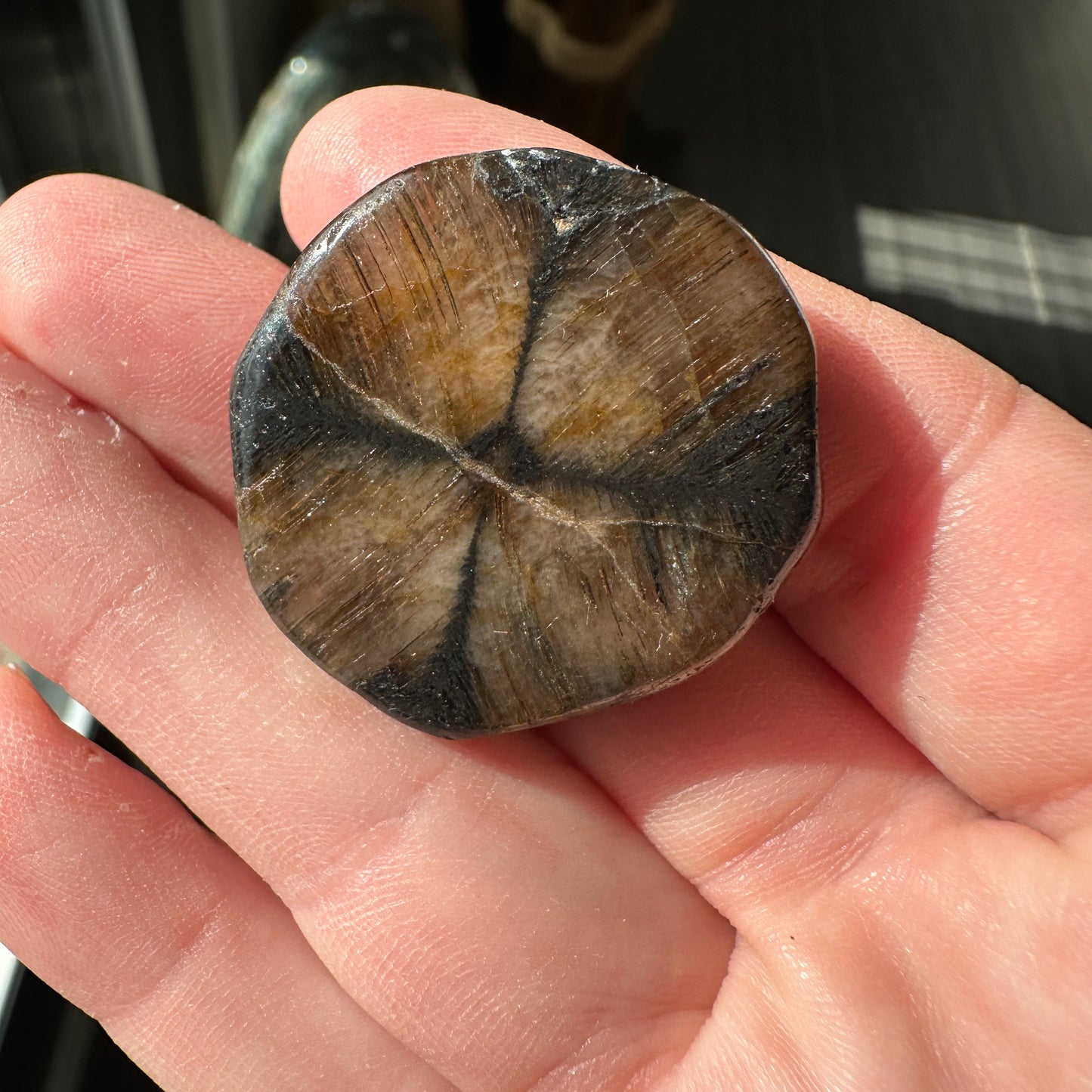 18.23g Andalusite var. Chiastolite Polished Fairy Cross Stone from Spain