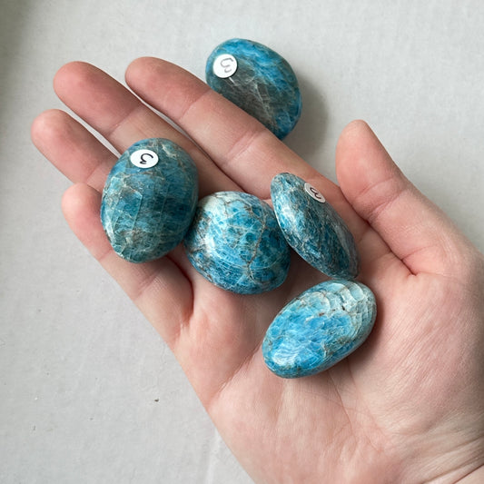 Small Tumbled Teal Blue Apatite Palm Stone from Brazil