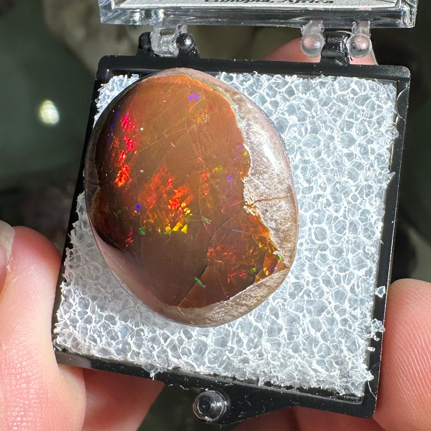 26ct A+ Polished Ethiopian Chocolate Opal in Perky Box
