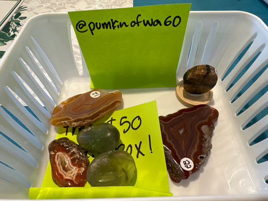 06-07-25 TikTok Live Sale Order @pumpkinofwa60