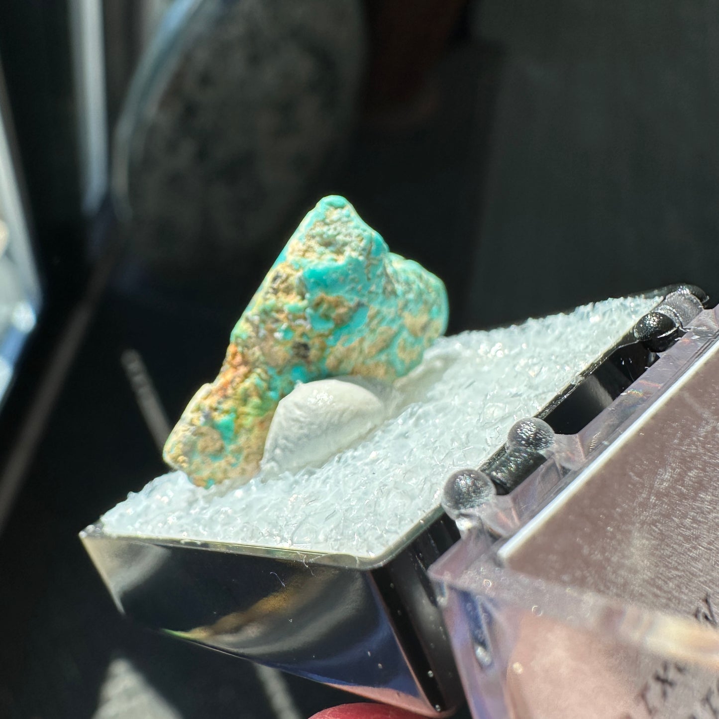 Turquoise Perky Box Specimen from Mexico