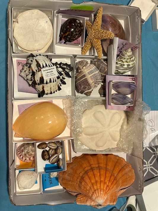 02/07/2025 TikTok Live Show Order Sheri