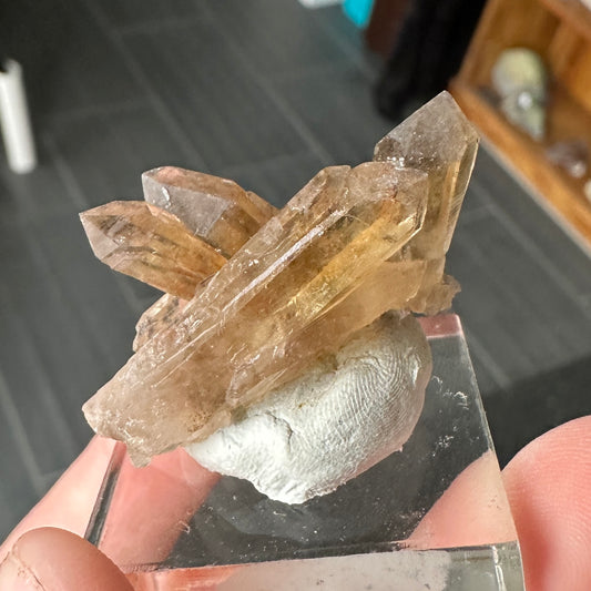 Miniature Sized Smoky Citrine from Orange River, Namibia