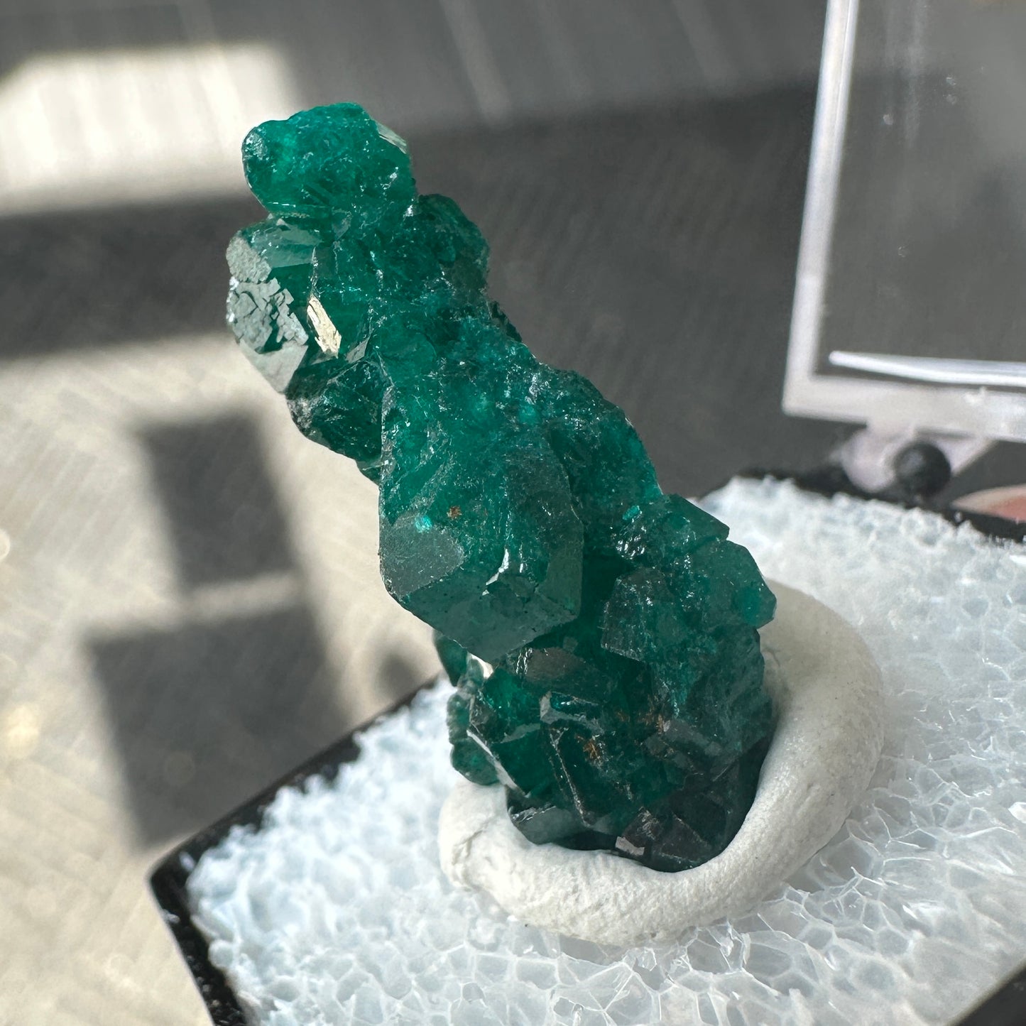 Gemmy Green Dioptase Perky Box Specimen from DR Congo