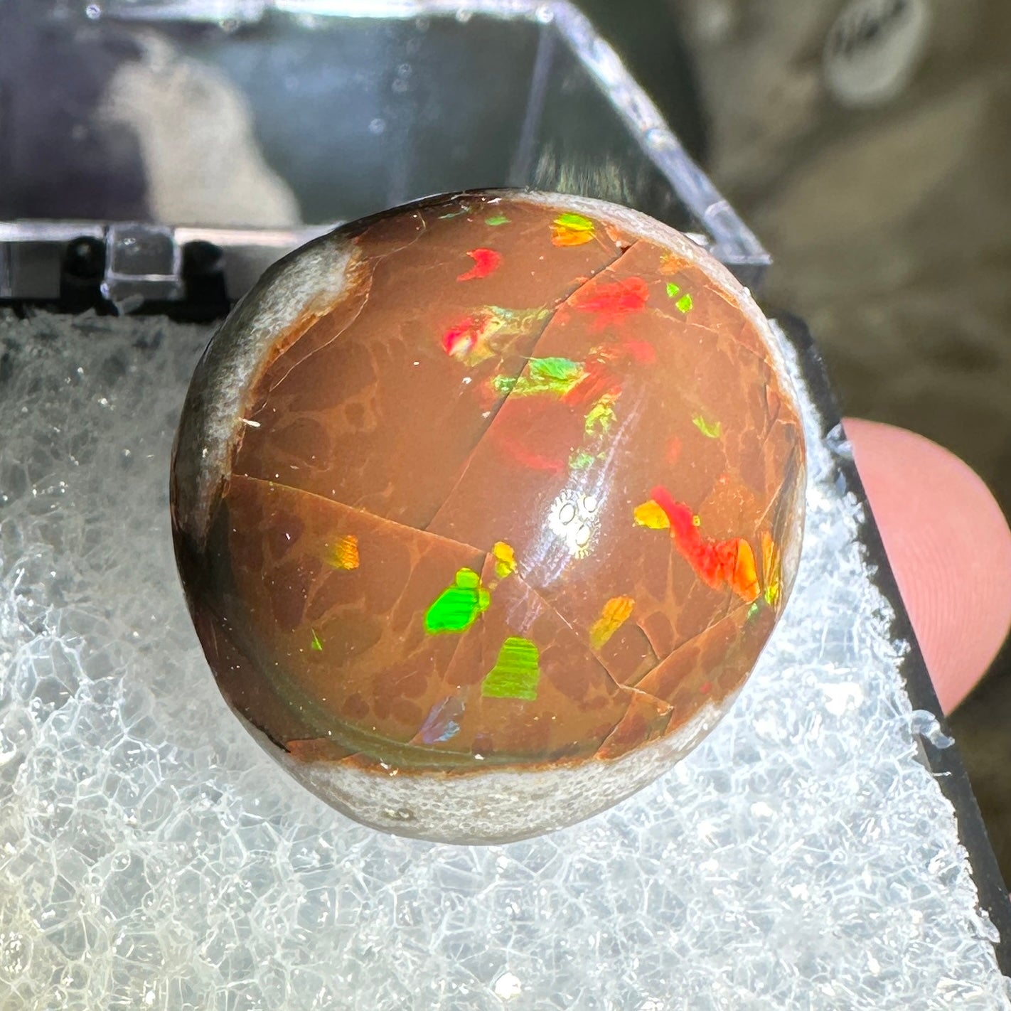 18ct A+ Polished Ethiopian Chocolate Opal in Perky Box