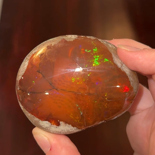 Marcela- 125g Hand-Polished Chocolate Opal from Ethiopia