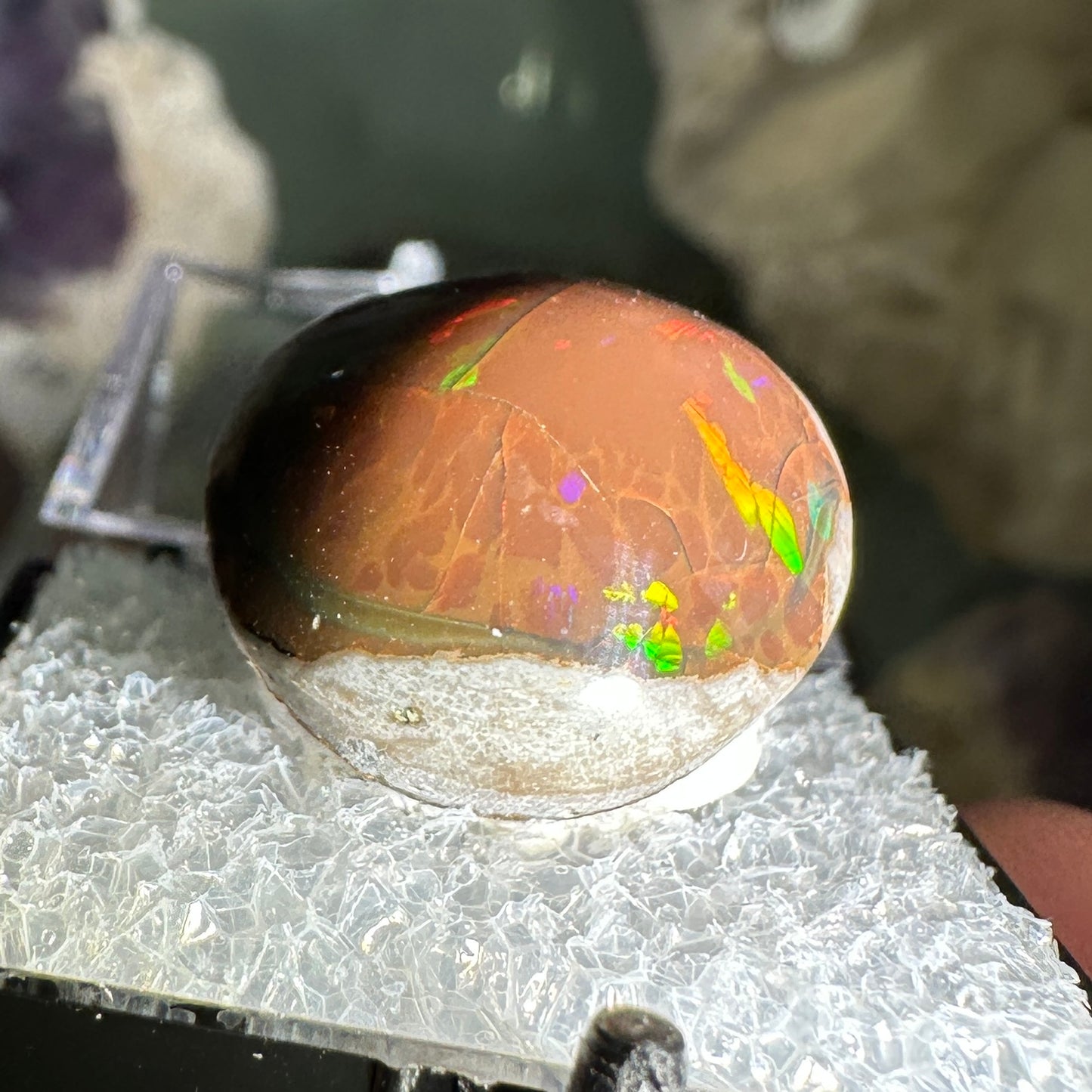 18ct A+ Polished Ethiopian Chocolate Opal in Perky Box