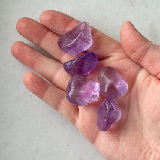 Medium Tumbled Amethyst from Brazil