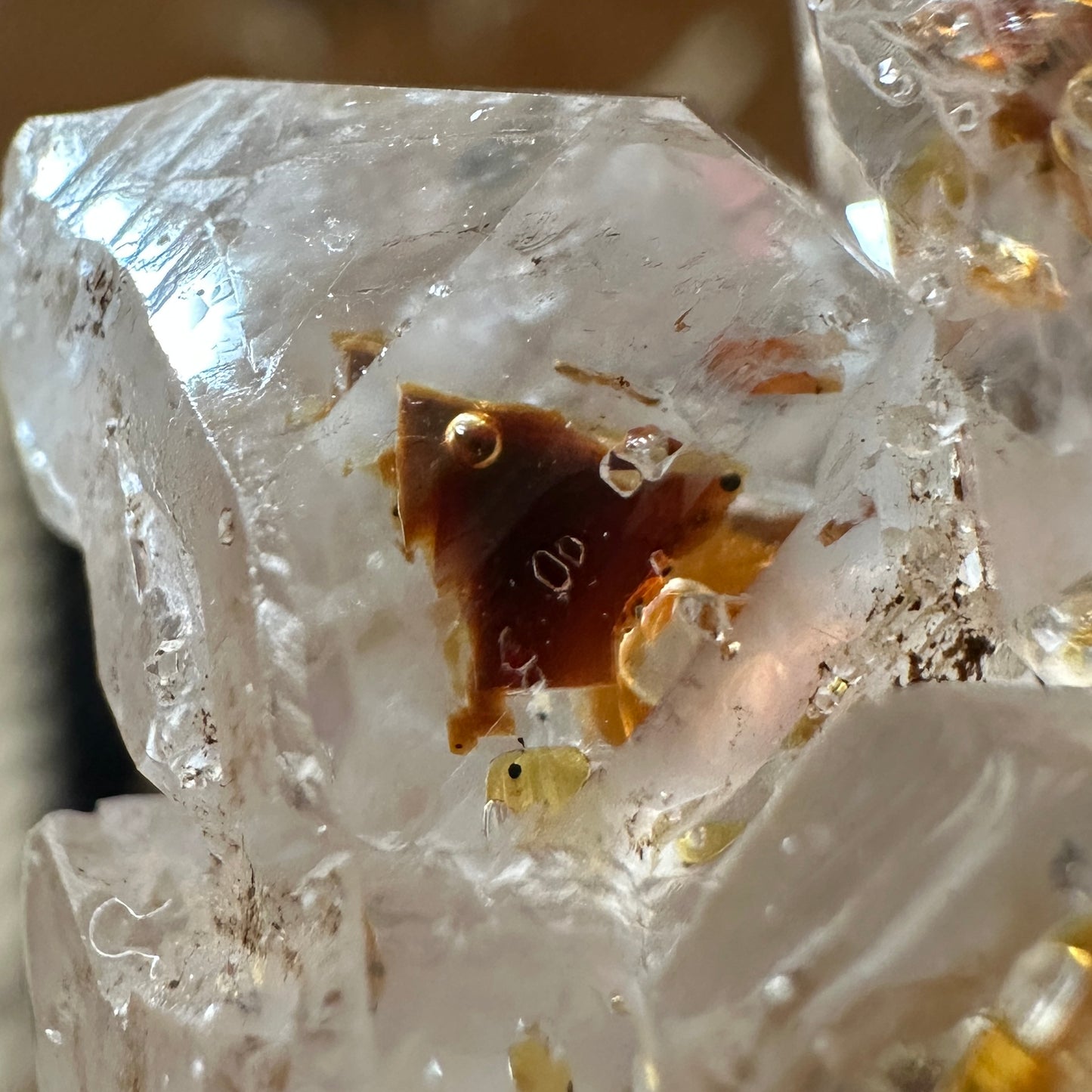 UV Reactive Petroleum Included Firefly Quartz from Madagascar