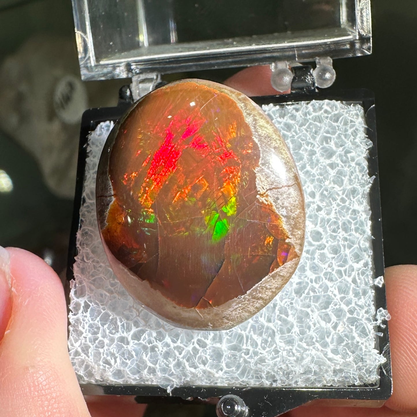 26ct A+ Polished Ethiopian Chocolate Opal in Perky Box