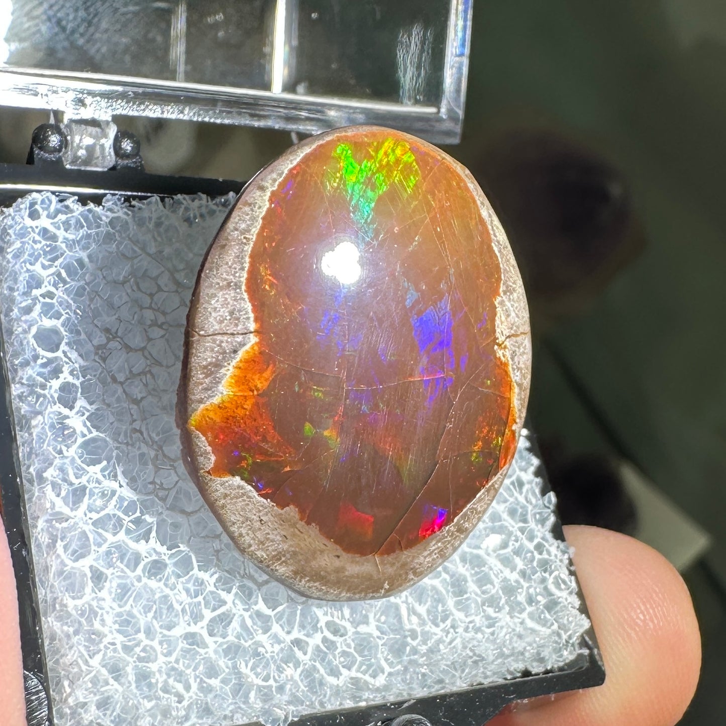 26ct A+ Polished Ethiopian Chocolate Opal in Perky Box