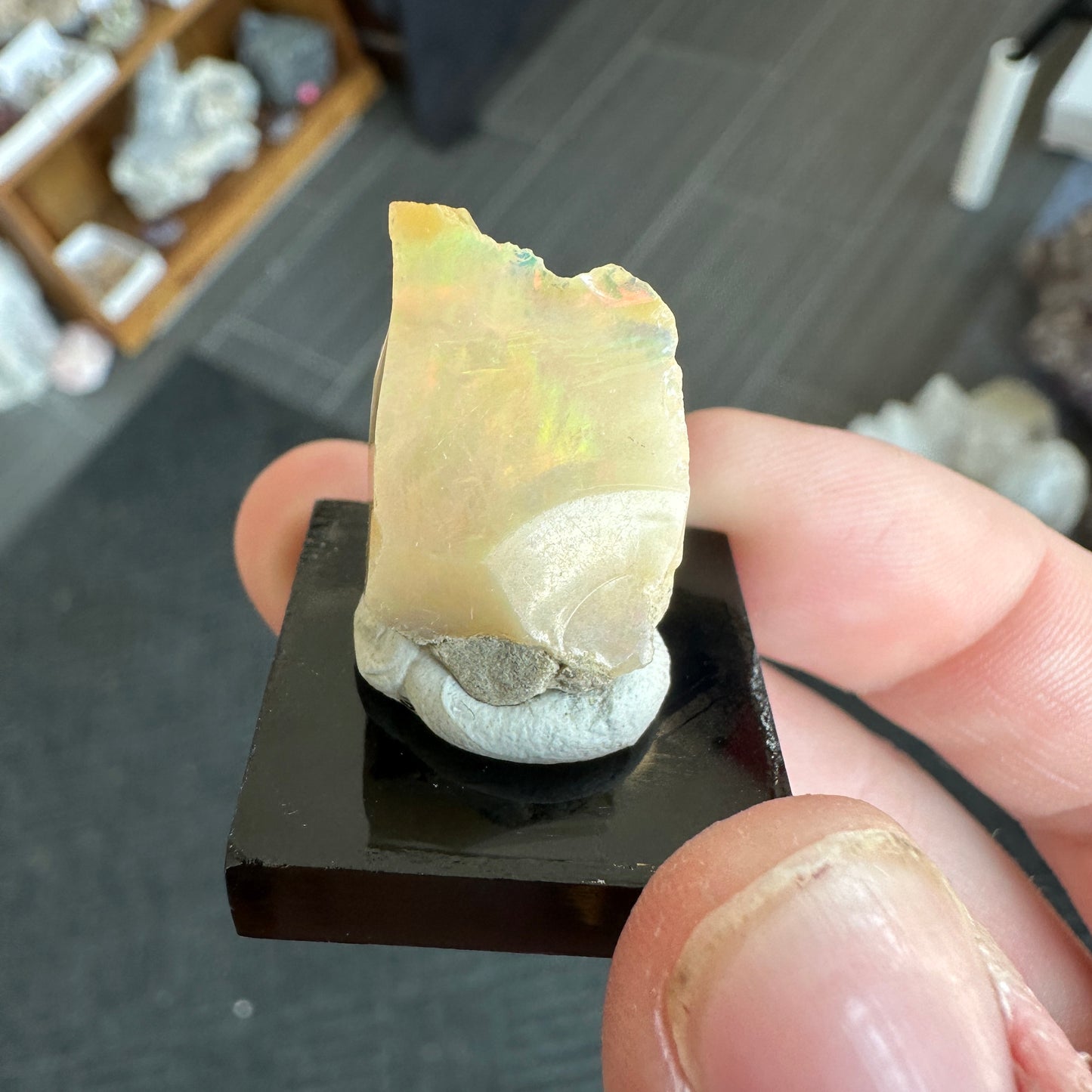 Stunning 2.68g A+ Welo Opal from Ethiopia