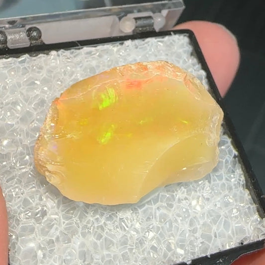 Stunning A+ Welo Opal in Perky Box from Ethiopia