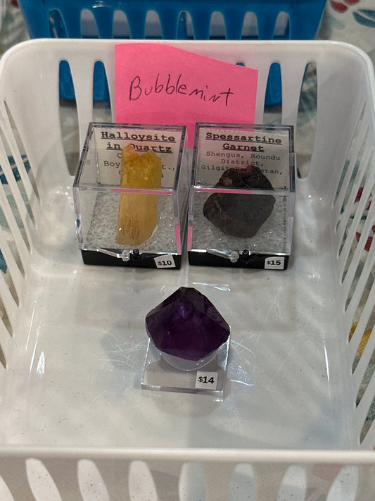 02/28/26 TikTok Live Show Order Bubblemint