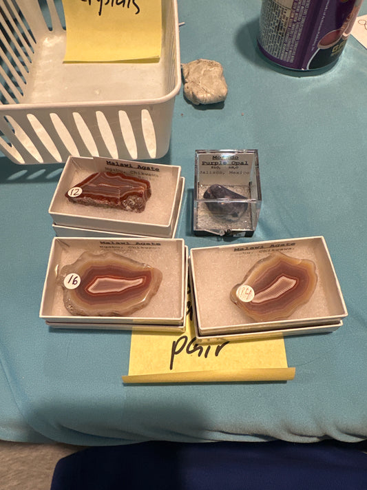 01/30/25 TikTok Live Show Order snakeladycrystals