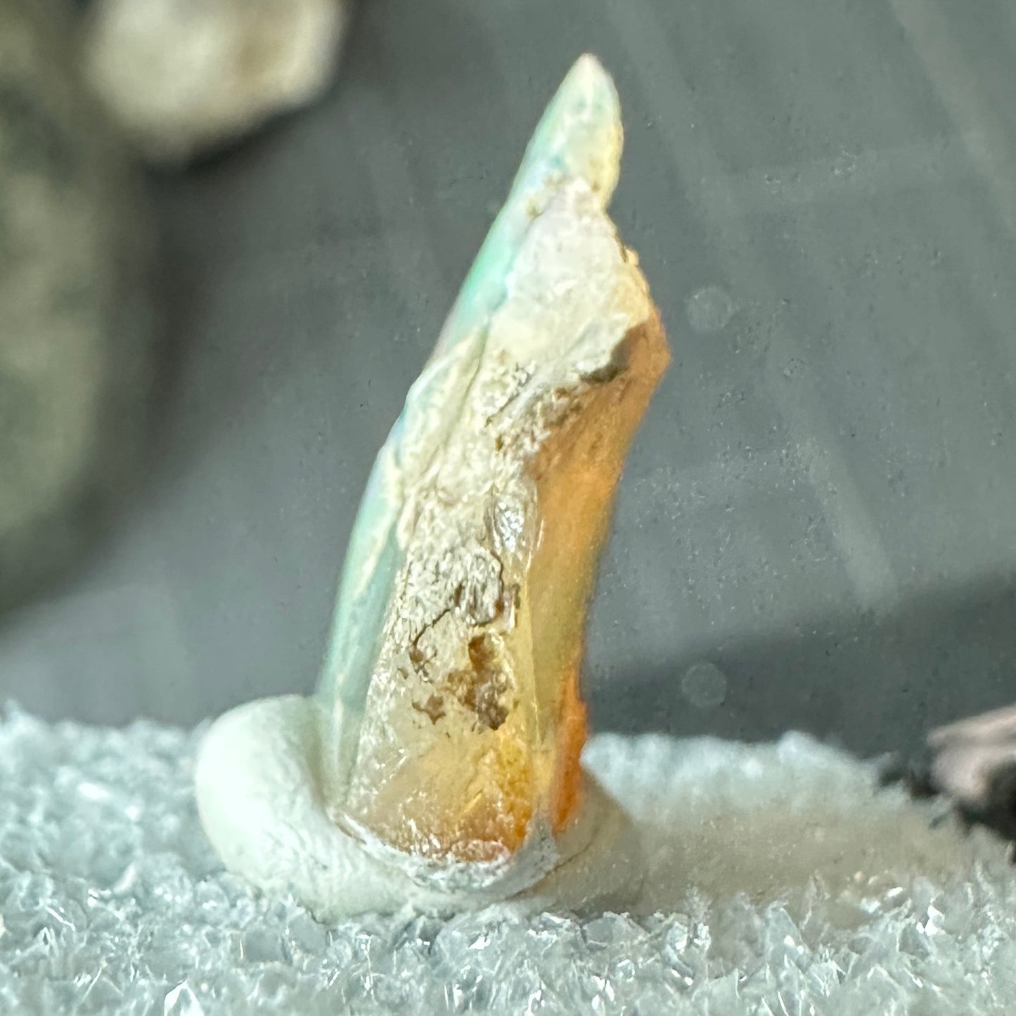 Stunning A+ Welo Opal in Perky Box from Ethiopia