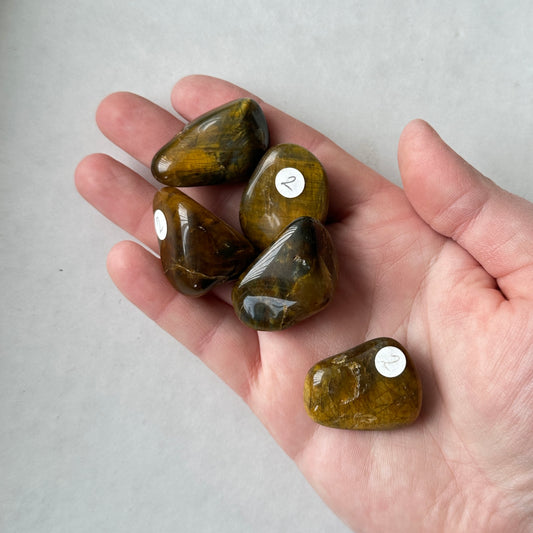 Medium Tumbled Hawks Eye Crocodilite from South Africa
