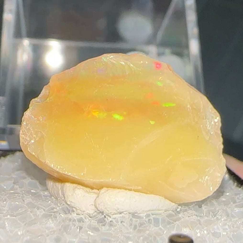 Stunning A+ Welo Opal in Perky Box from Ethiopia