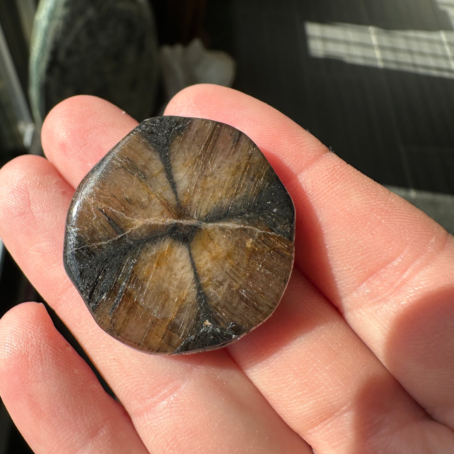 18.23g Andalusite var. Chiastolite Polished Fairy Cross Stone from Spain