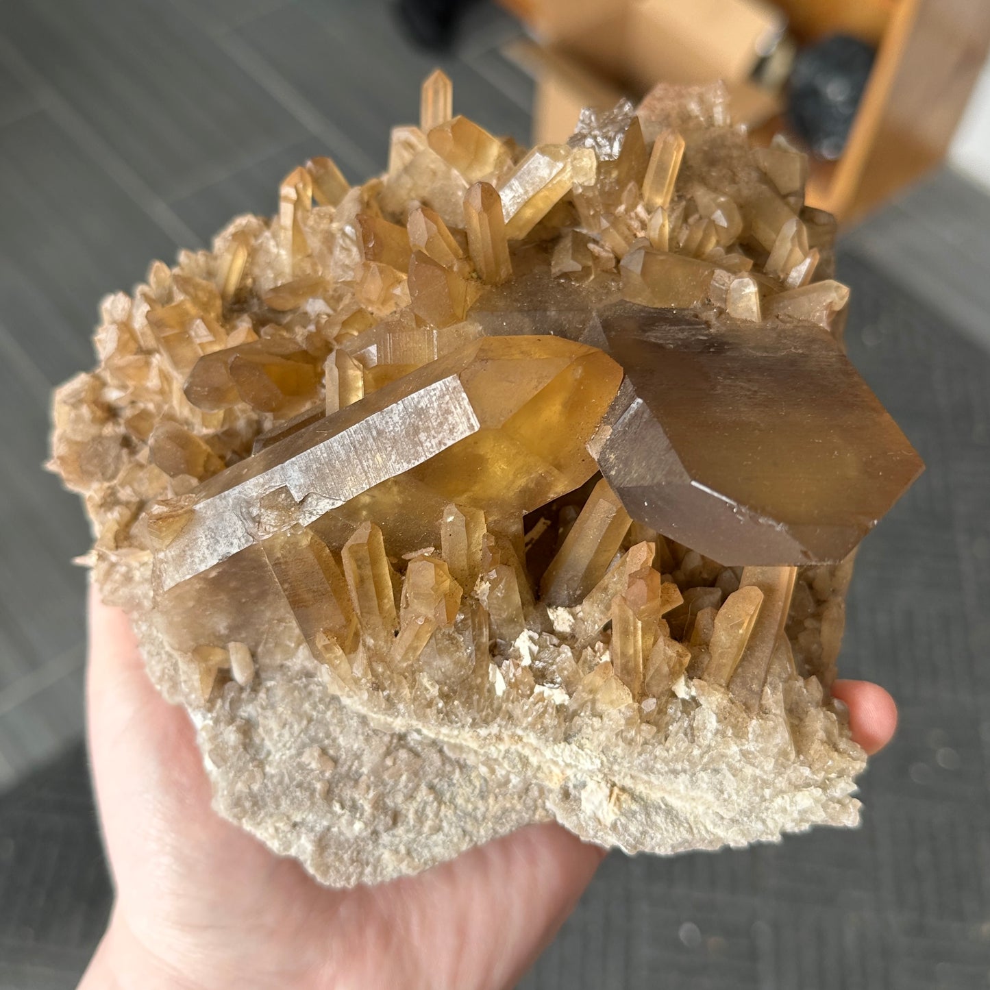 Large Cabinet Japan Law Twin Citrine from Zambia