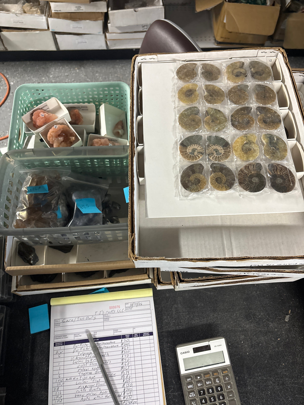 Wholesale order Cara Two Owls 10/24/26