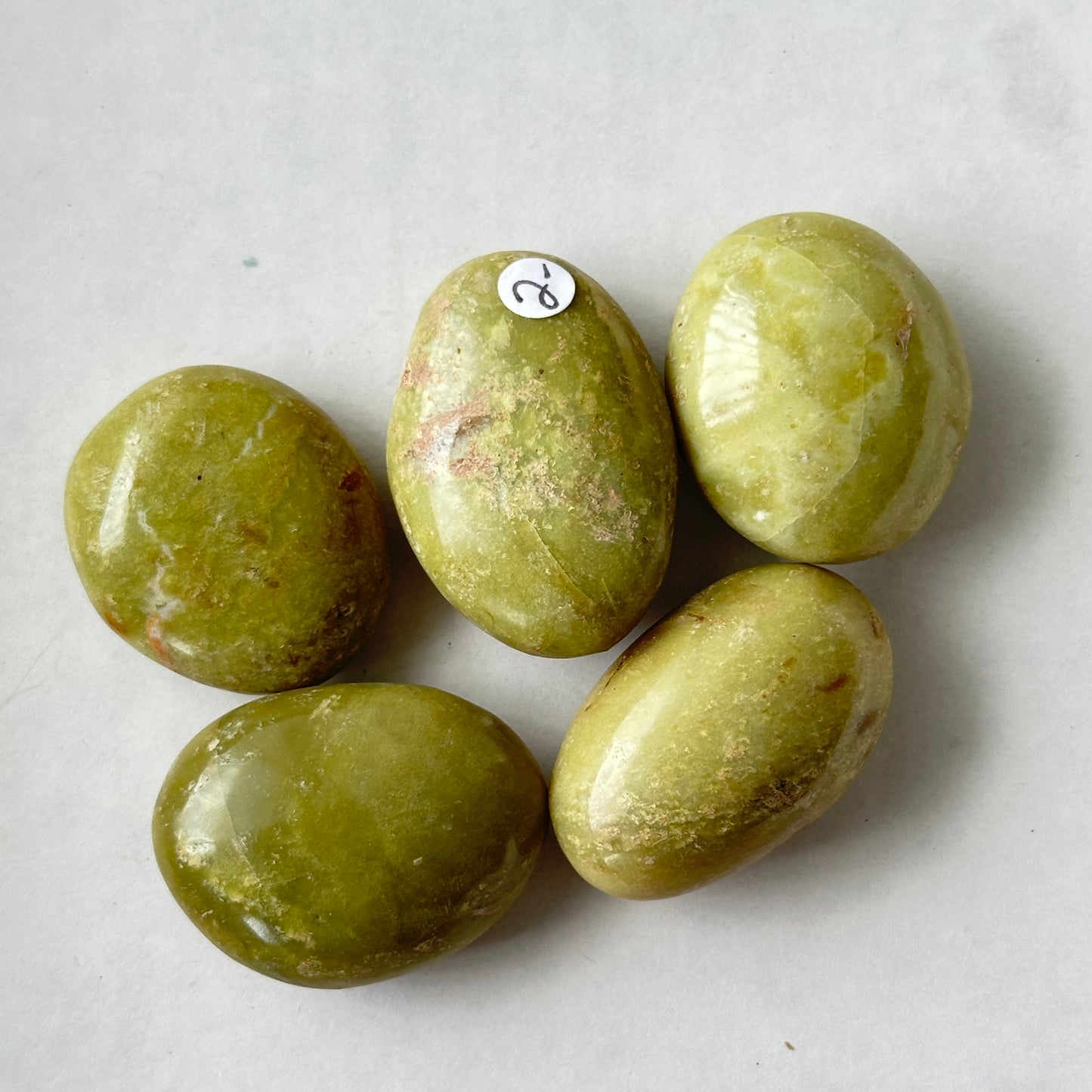 Medium Tumbled Green Opal Palm Stone from Madagascar