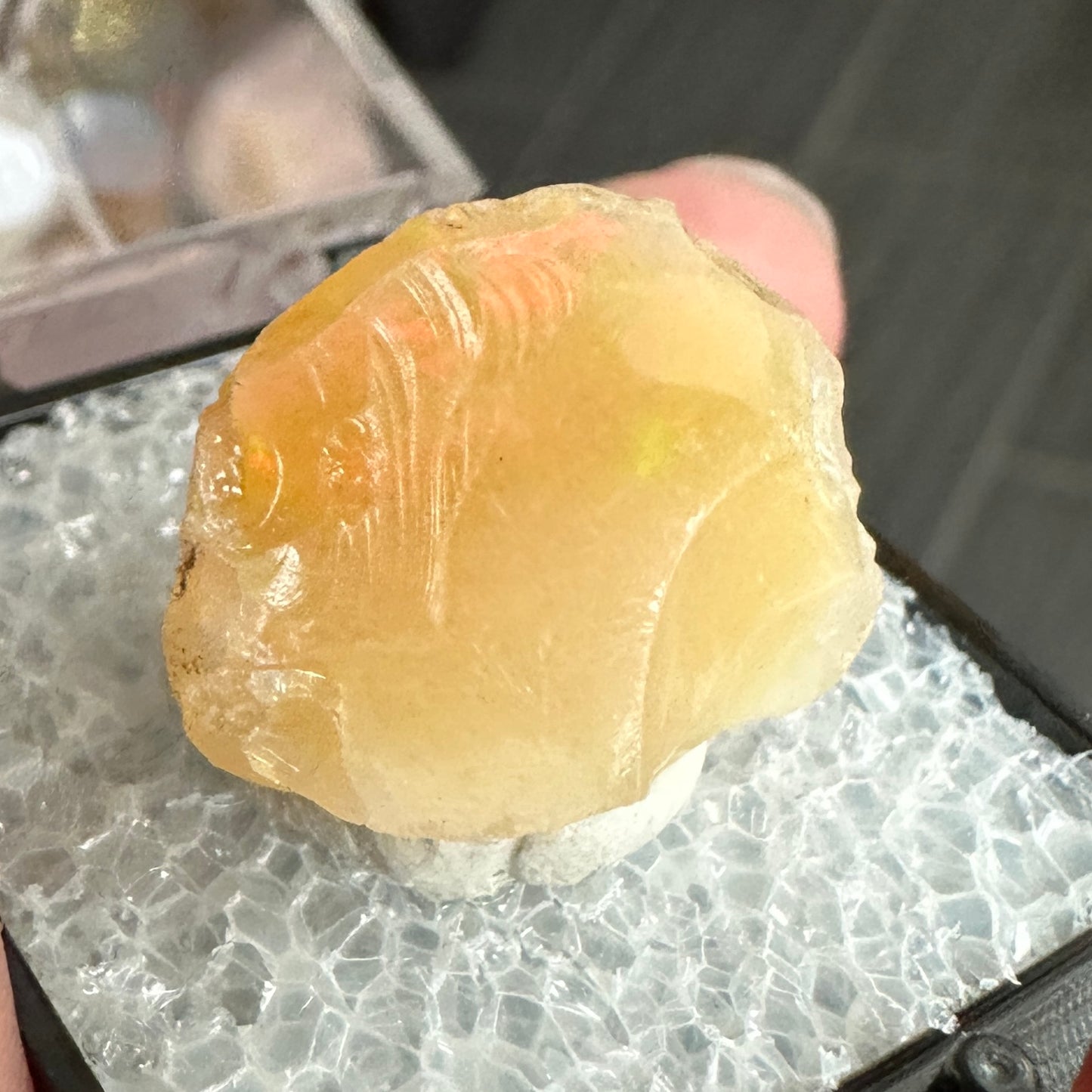 Stunning A+ Welo Opal in Perky Box from Ethiopia