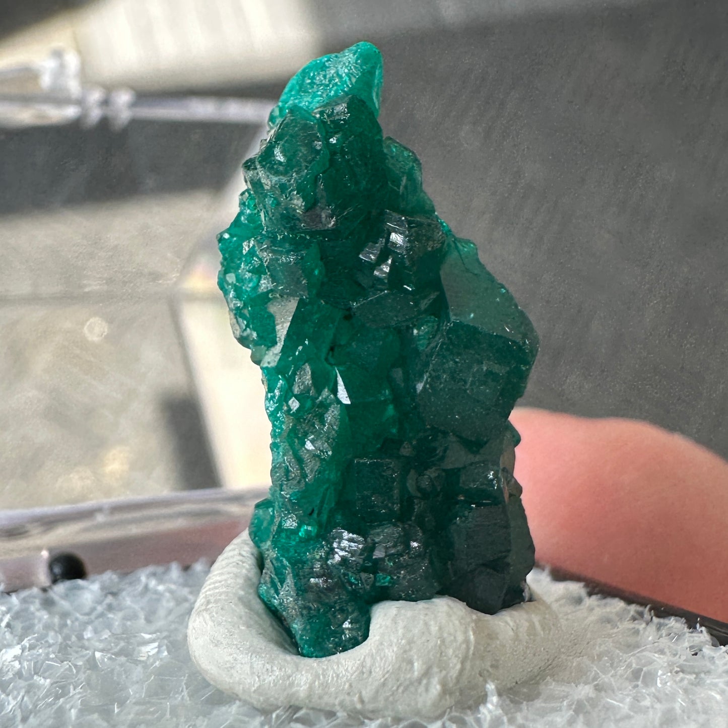 Gemmy Green Dioptase Perky Box Specimen from DR Congo