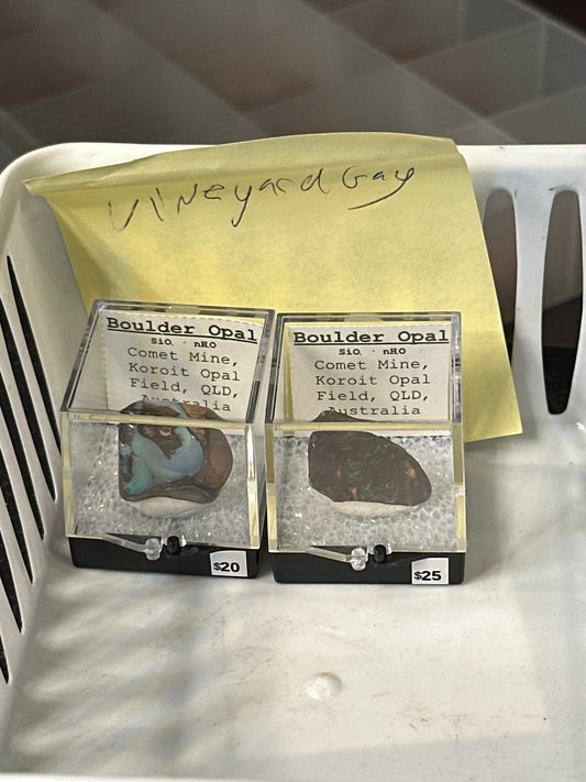 01/10/25 TikTok Live Show Order @vineyardgay