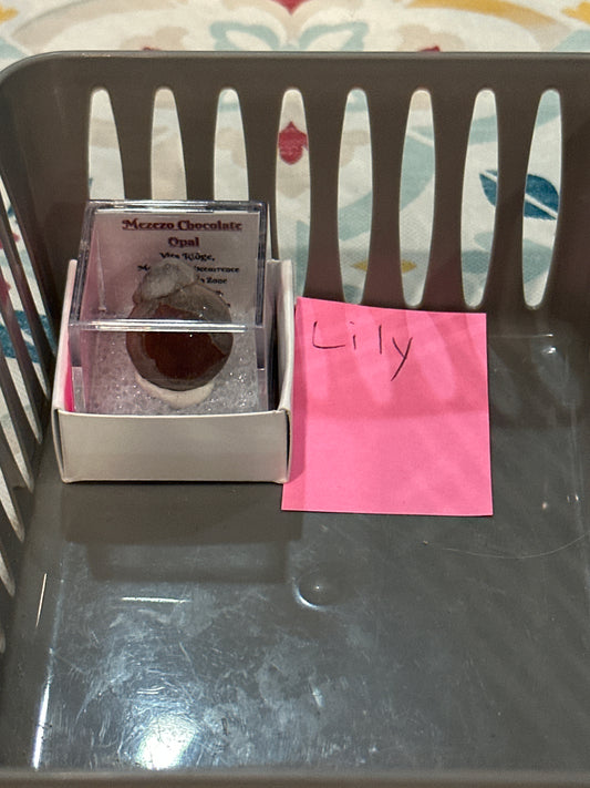 02/28/26 TikTok Live Show Order Lily