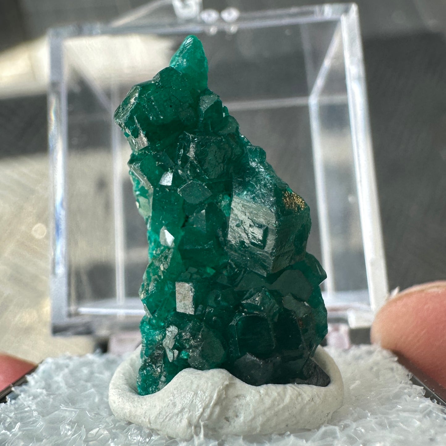 Gemmy Green Dioptase Perky Box Specimen from DR Congo