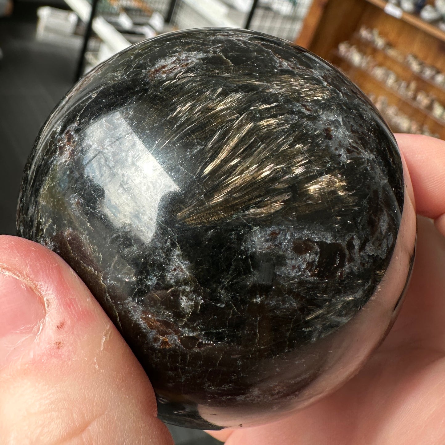 Radiant 6.80cm Astrophyllite and Garnet Sphere from India
