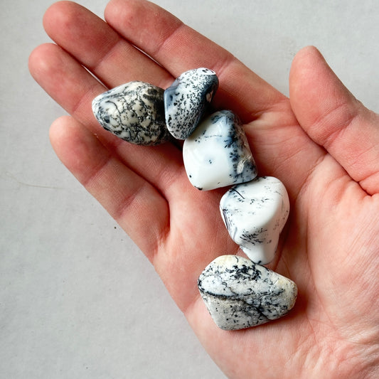 Medium Tumbled Porcelain White Dendritic Opal from Turkey