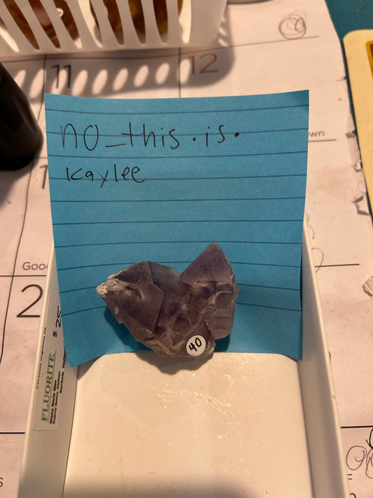 5/10/2025 TikTok Live Order @no_this.is.kaylee