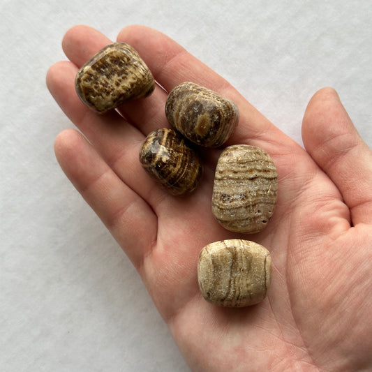 Medium Tumbled Banded Aragonite