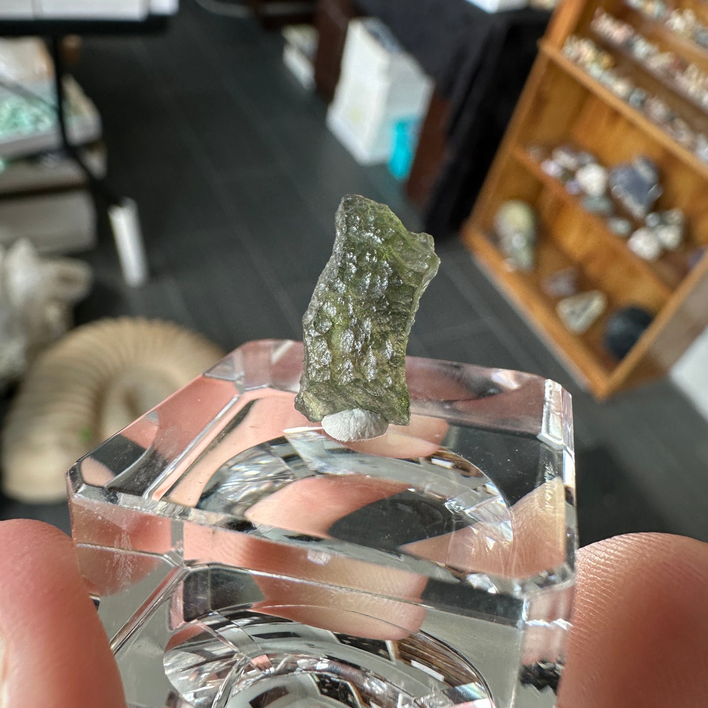 Genuine Green Moldavite 0.49g from Czech Republic