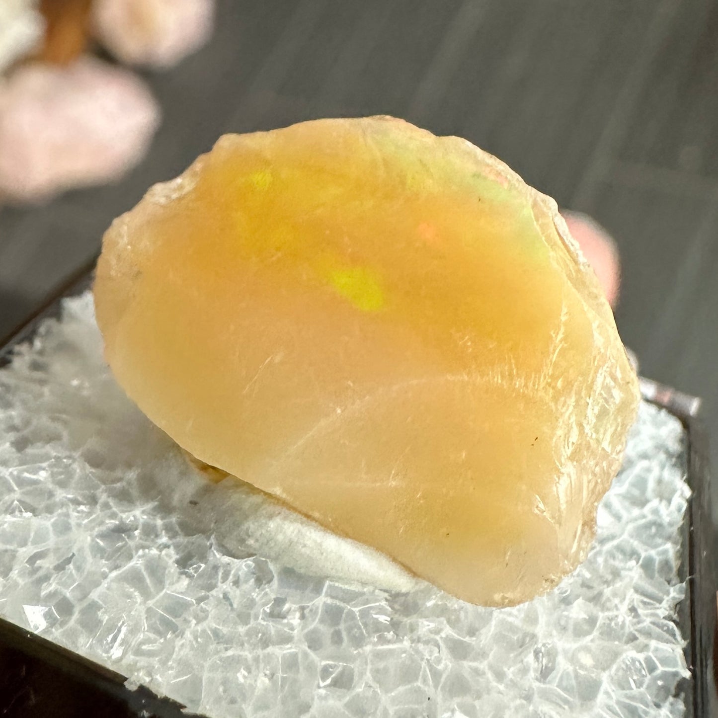 Stunning A+ Welo Opal in Perky Box from Ethiopia