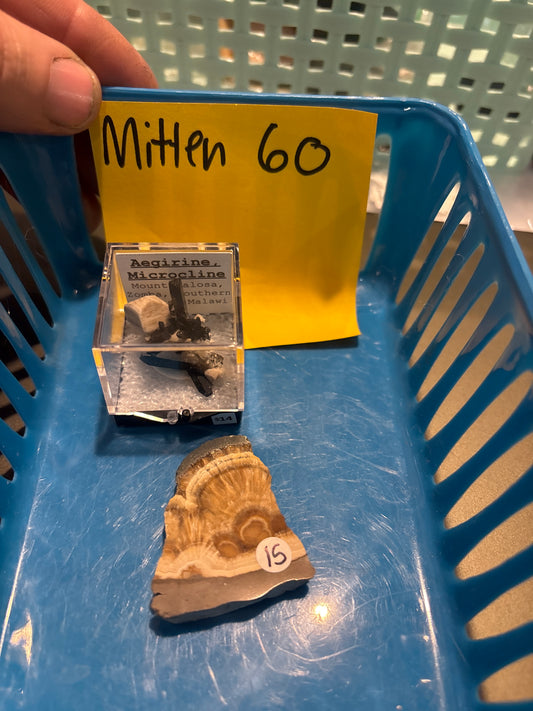 EM 03/14/26 TikTok Live Show Order Mitten 60