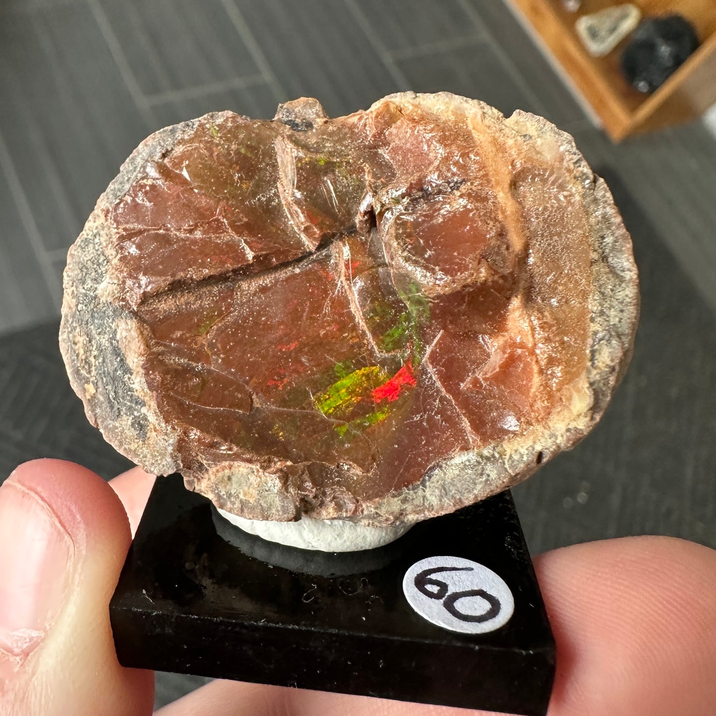 Chocolate Fire Opal Miniature from Ethiopia