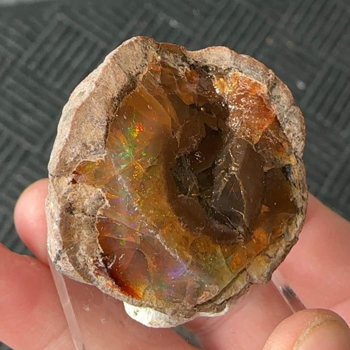 Chocolate Fire Opal Miniature from Ethiopia