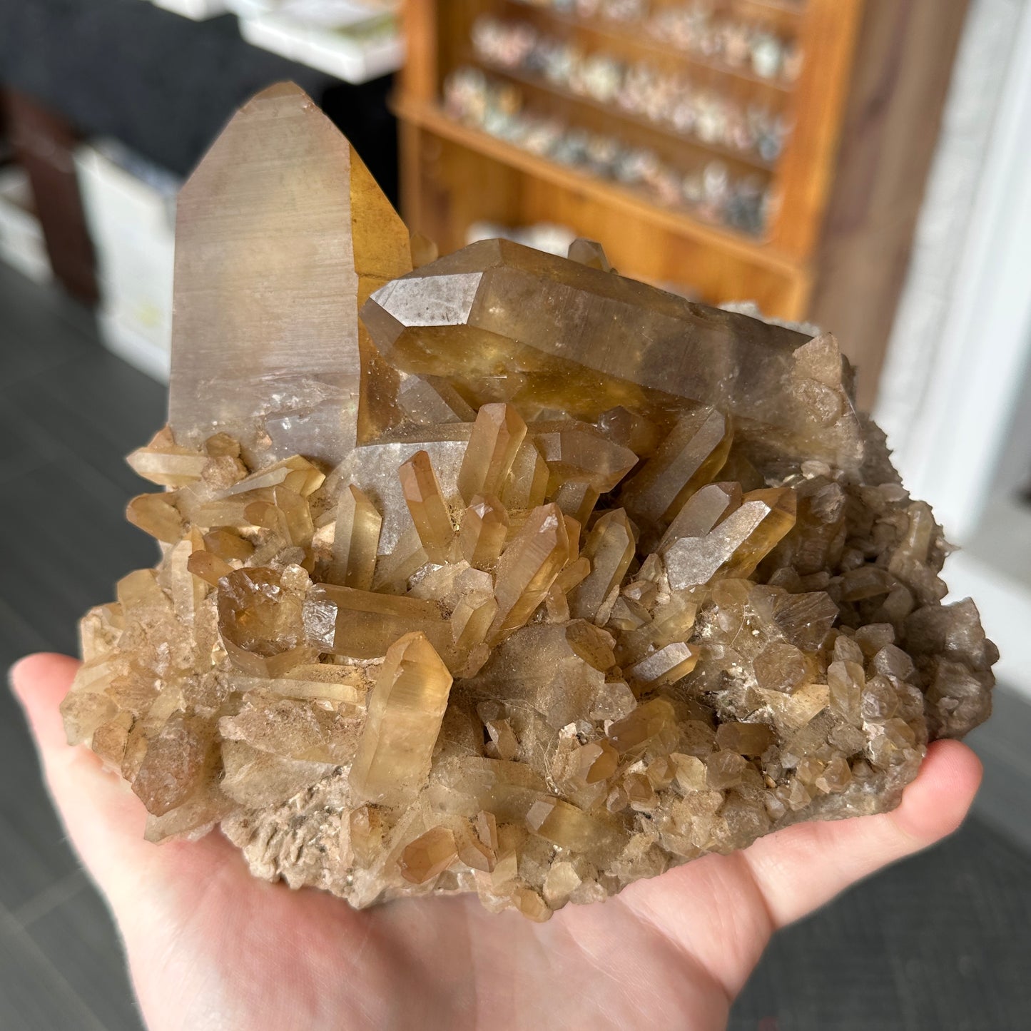 Large Cabinet Japan Law Twin Citrine from Zambia