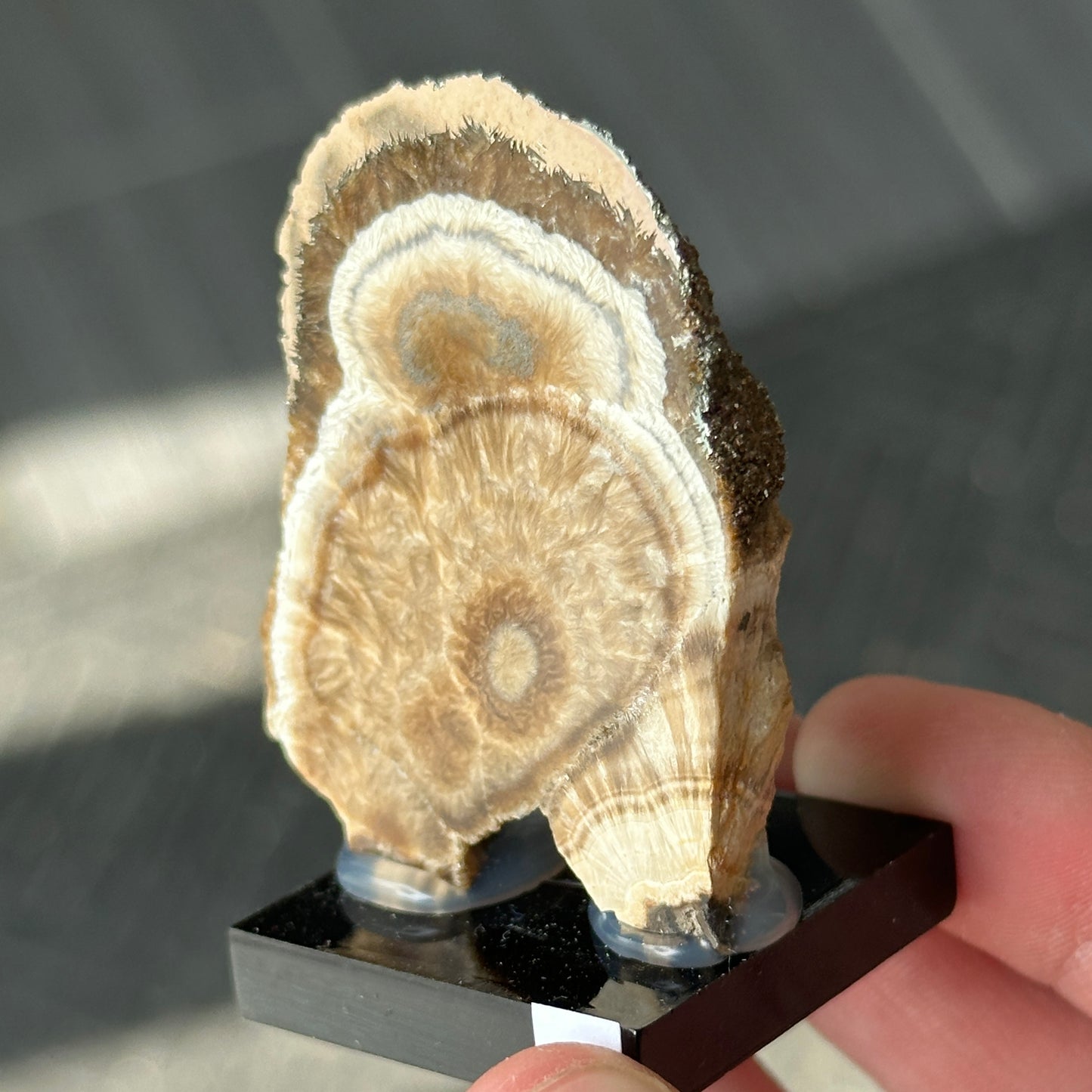 Baryte and Pyrite Slab from Poland, One Time Find!