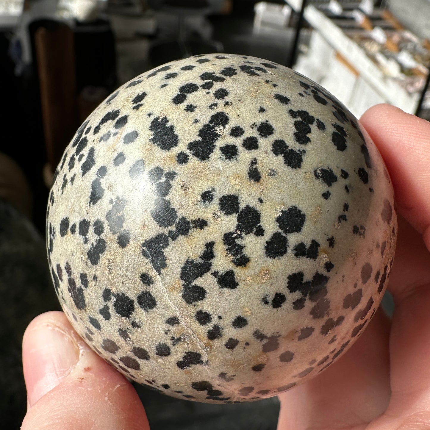 5.75cm Dalmatian Jasper Sphere from Mexico