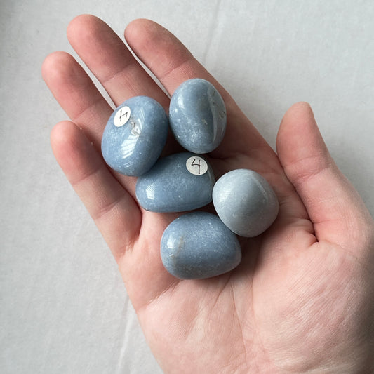 Medium Tumbled Blue Angelite from Peru