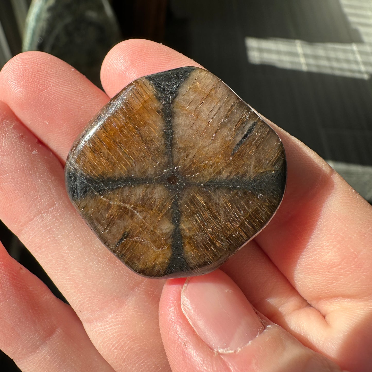 22.72 g Andalusite var. Chiastolite Polished Fairy Cross Stone from Spain