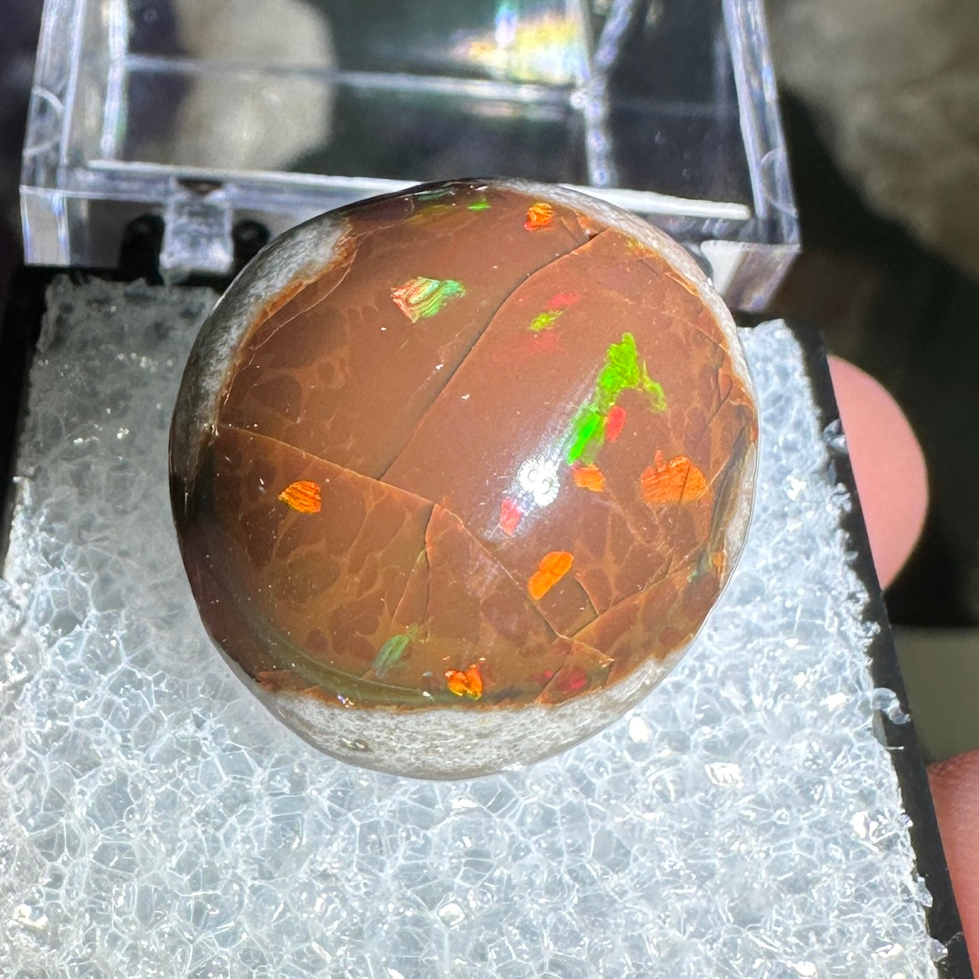 18ct A+ Polished Ethiopian Chocolate Opal in Perky Box