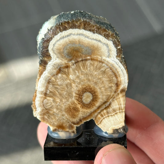 Baryte and Pyrite Slab from Poland, One Time Find!