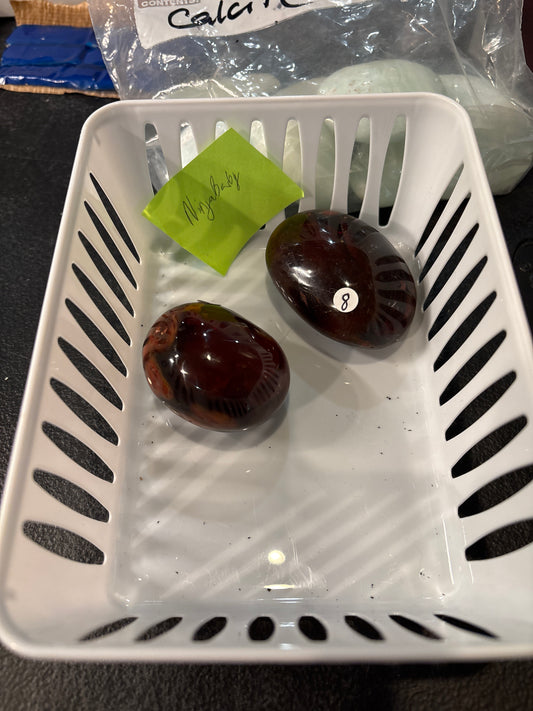 Ninja Barbie-2/22/26￼